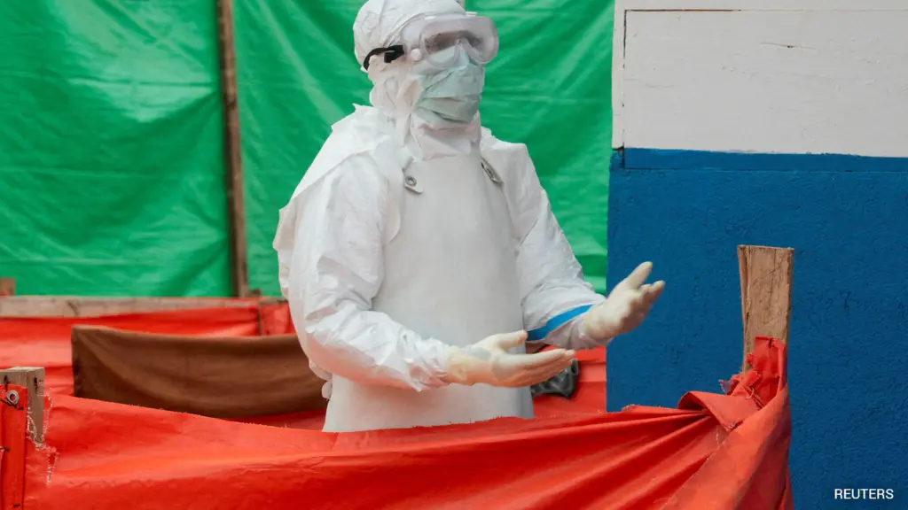 virus Shamonda